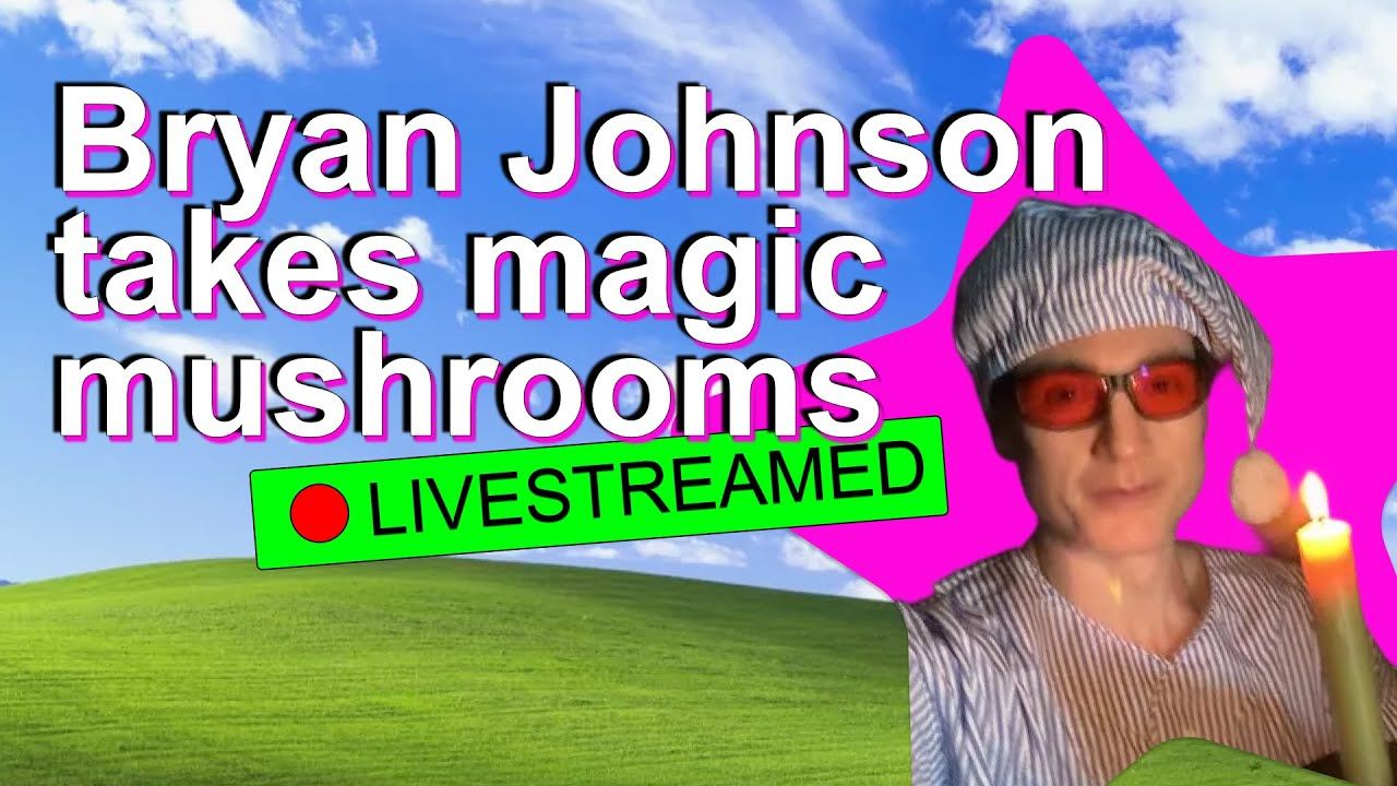 실로시빈 복용 라이브 스트림을 알리는 유튜브 썸네일