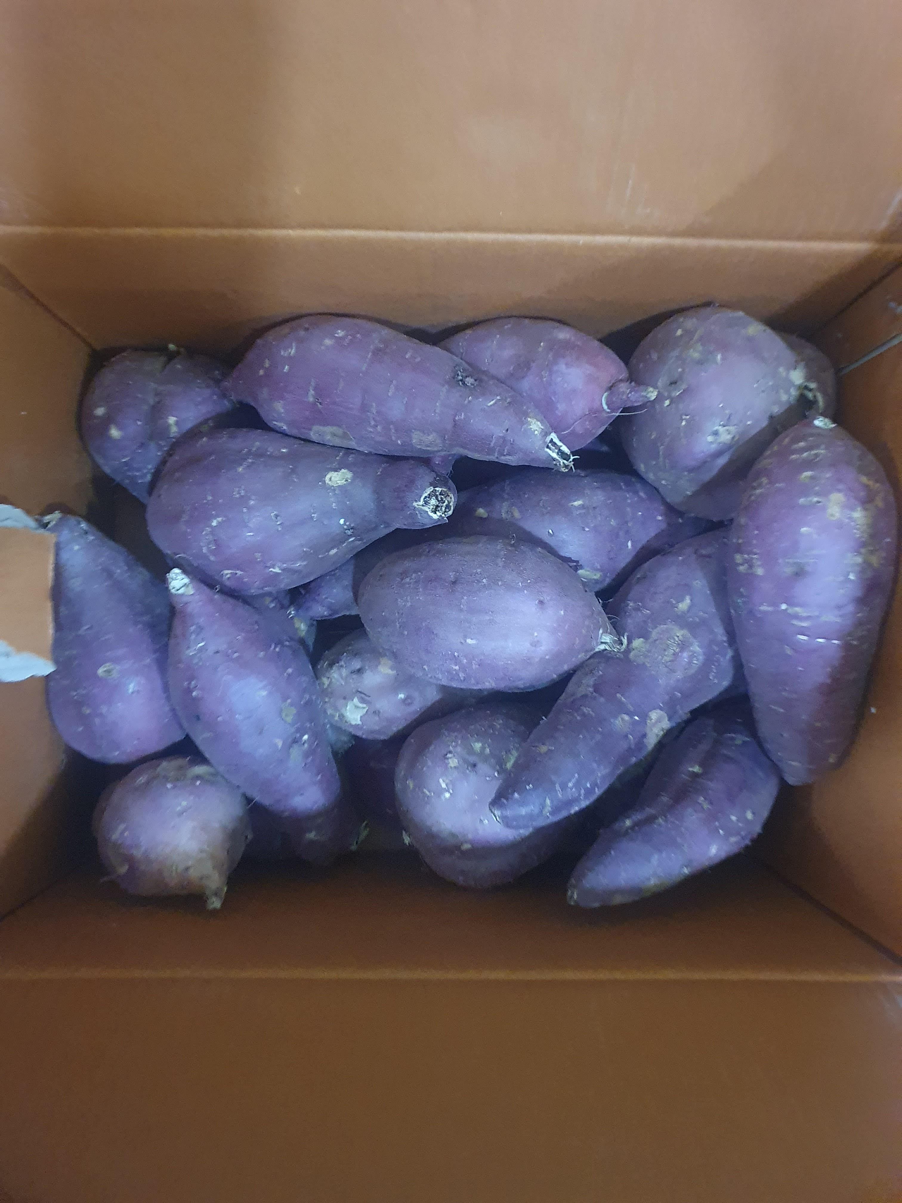 빠연