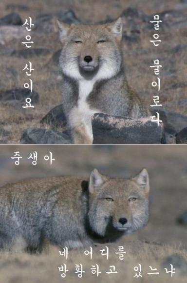 산은산이요물은물이다